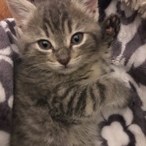 Meet your Posher, Rhea